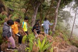 Nature adventurers in action
