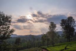 A trail for exploring natural beauty.