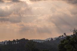 A winding path through wilderness
