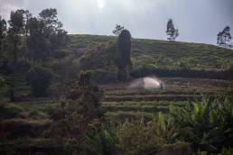 Immersed in serene natural space