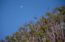 Capturing the beauty of the outdoors